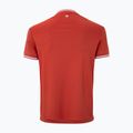 Men's tennis shirt Tecnifibre Team Tech terracotta 5