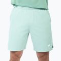 Men's tennis shorts Tecnifibre Team Stretch Short sage 2