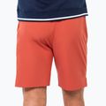 Men's tennis shorts Tecnifibre Team Stretch Short terracotta 2