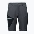 Men's shorts Millet Wanaka Stretch III tarmac 6