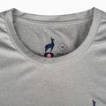 Men's T-shirt Aulp Tommy grey/melange 5
