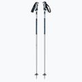 Dynastar Vector 4 ski poles grey DDJ2020