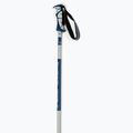 Dynastar Vector 4 ski poles grey DDJ2020 2