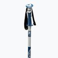 Dynastar Vector 4 ski poles grey DDJ2020 3