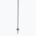 Dynastar Vector 4 ski poles grey DDJ2020 4