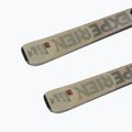 Downhill skis Rossignol Experience 80 CA + XP11 brown 9