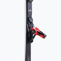 Men's downhill ski Dynastar Speed Master SL R22 + SPX12 Red black DRLZ002 7