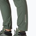 Men's trekking trousers Rossignol SKPR ebony green 6