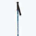Rossignol Tactic blue ski poles 2