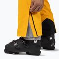 Men's ski trousers Rossignol Diretta saffron ylw 9