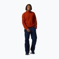 Men's fleece sweatshirt Rossignol Quarter Zip Fleece rooibos tea 2