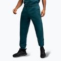 Men's trousers Venum Silent Power green