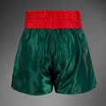 Venum Classic Muay Thai khaki men's training shorts 2