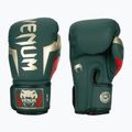 Venum Elite green boxing gloves