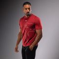Men's Venum Giant Connect T-Shirt carmin 3
