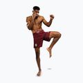 Men's training shorts Venum X Ares 2.0 burgundy 5