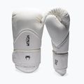 Menʼs boxing gloves Venum Challenger 4.0 ivory