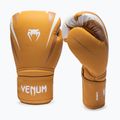 Boxing gloves Venum Hurricane Boxing havana/white