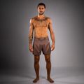 Men's training shorts Venum No Gi chocolate brown 2
