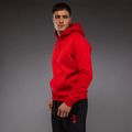 Men's sweatshirt Venum x Mike Tyson Tiger Hoodie intense red/deep black 4