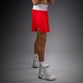 Men's training shorts Venum Classic Boxing fire red 4