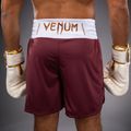 Men's training shorts Venum Classic Boxing burgundy 6