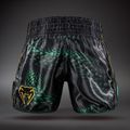 Men's training shorts Venum Matupa Muay Thai black/green/gold 2