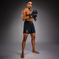 Men's training shorts Venum Thunder Dragon Black/Grey/Copper 2