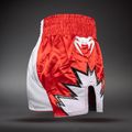 Training shorts Venum Inferno 2.0 Muay Thai red/white 4