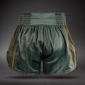 Training shorts Venum Stealth Muay Thai Khaki/Dark Green 2