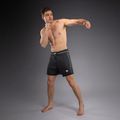 Men's training shorts Venum Stealth black/white 2