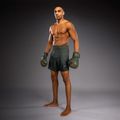 Men's training shorts Venum Stealth Khaki/Dark Green 4