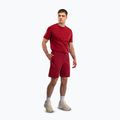Men's training shorts Venum Giant 3D Cotton red 2
