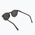 Women's sunglasses ROXY Moanna 2021 shiny tortoise/green 2