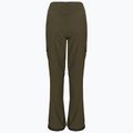 Men's snowboard trousers DC Nonchalant olive night 3