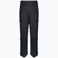 Men's snowboard trousers DC Banshee black 2