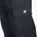 Men's snowboard trousers DC Banshee black 4