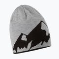 Quiksilver M&W men's snowboard cap black EQYHA03308 4