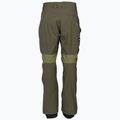 Quiksilver men's Tr Stretch snowboard trousers green EQYTP03165 2