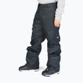 Men's snowboard trousers DC Banshee black
