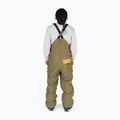 Men's snowboard trousers DC Shadow ivy green 2