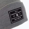 Men's winter beanie DC Label wild dove 3