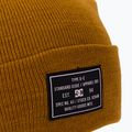 Men's winter beanie DC Label cathay spice 3