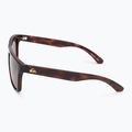 Quiksilver Ferris brown tortoise brown men's sunglasses 4