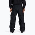 Men's snowboard trousers DC Banshee black 2