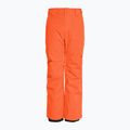 Quiksilver Estate Youth grenadine children's snowboard trousers 2