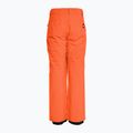 Quiksilver Estate Youth grenadine children's snowboard trousers 3