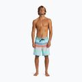 Men's Quiksilver Everyday Stripe 19 limpet shell swim shorts 4