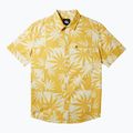 Quiksilver Men's Apero Organic Classic ochre apero organic ss shirt 5