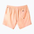 Quiksilver Everyday Solid Volley 15 men's swim shorts 2